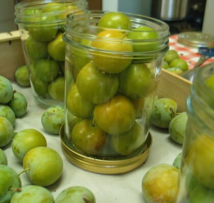 Prunes à l'eau de vie