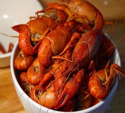 Duo de homard et langouste