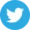 icon twitter goosto.fr