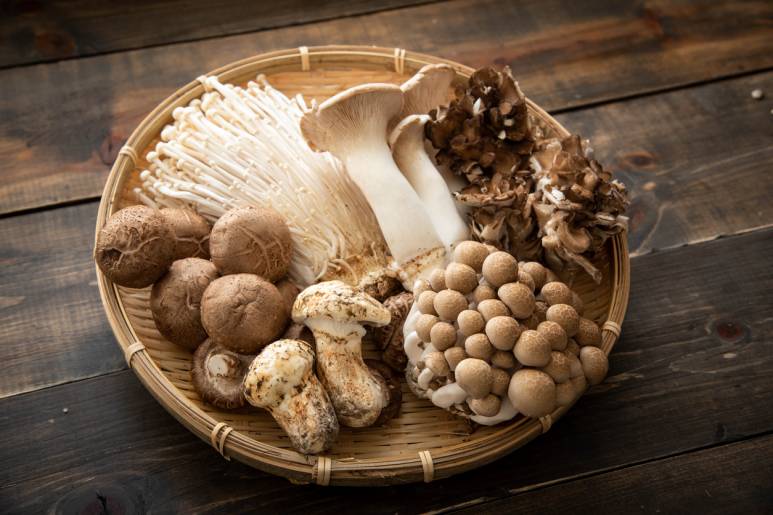 bienfaits du shiitake sur la santé