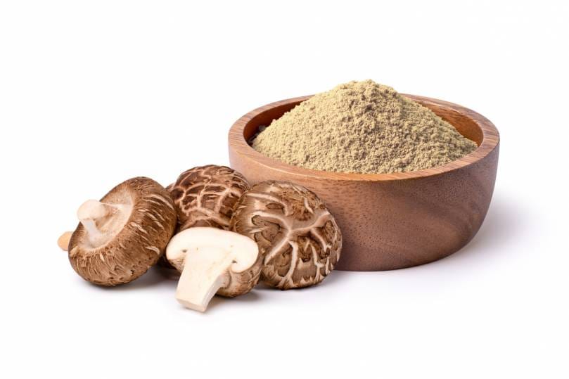 intégration du shiitake dans l'alimentation