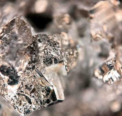 Cadmium dans l'alimentation